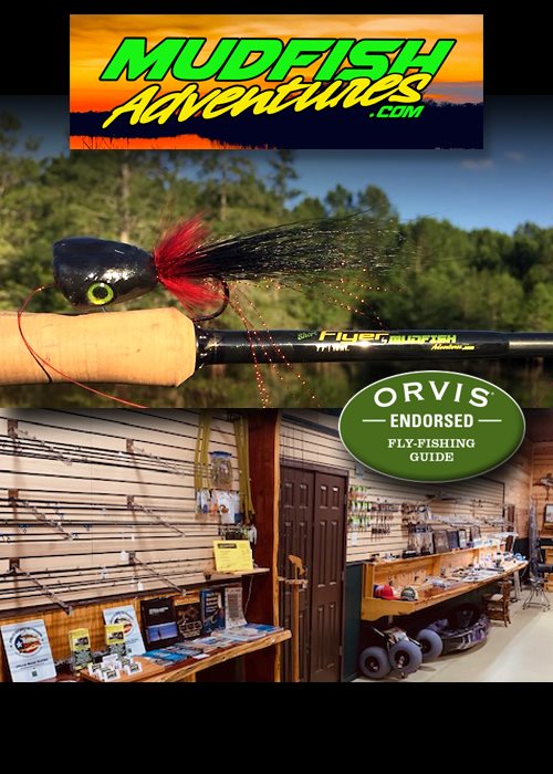 Mudfish Adventures Profile